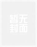 照我满怀冰雪